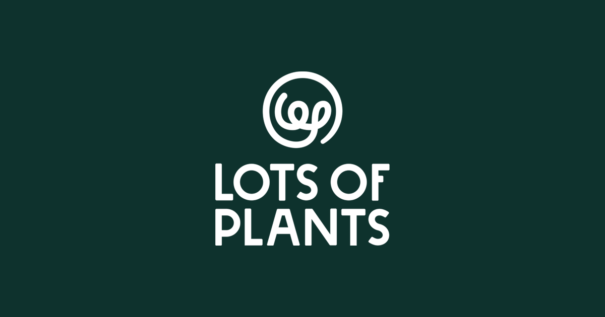 Lots of Plants – Shop Large and Unique Healthy Plants