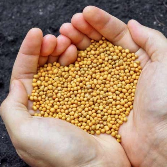 Multicote™ 6- 18-6-12 + Micronutrients - 10 Pound Bag