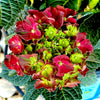 Cherry-Go-Round™ Reblooming Hydrangea