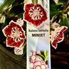 Minuet Mountain Laurel
