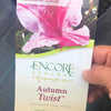 Autumn Twist® Encore Azalea