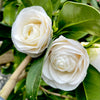 April Snow Camellia